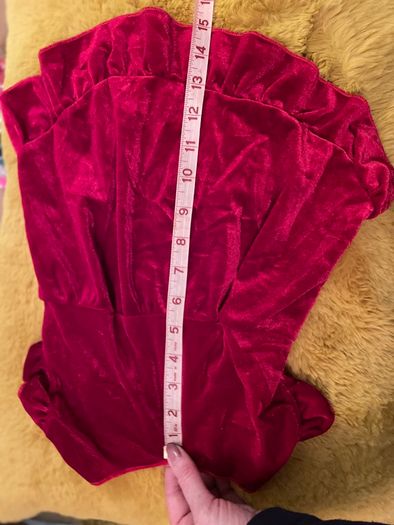 Red Velour Dog Dress