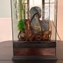 Terrarium Image 3