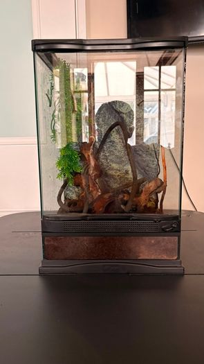 Terrarium