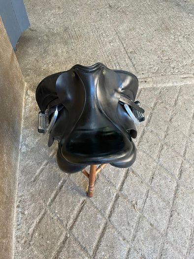 Dressage