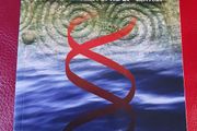 Ever Ancient Ever New / Celtic Spirituality in the 21st Century  / Dolores Whelan / 2010