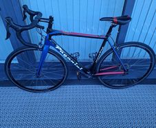 20 Speed Paganini Road Bike