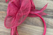 Facinator hair accessory