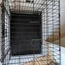dog crate Image 3