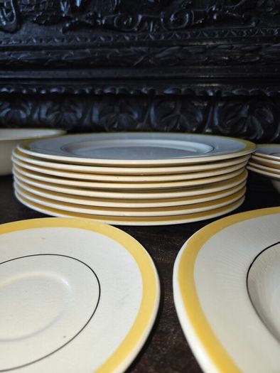 Hand Painted Myott 18 piece dinner set