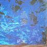 Vinyl Echo and the Bunnymen Ocean Rain Image 2