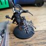 Games Workshop Warhammer Age of Sigmar Warcry Centaurion Marshal Slaves to Darkness Image 3