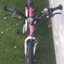 Girls Bike Chipmunk Kids 18 inch Bike - For Sale Image 3