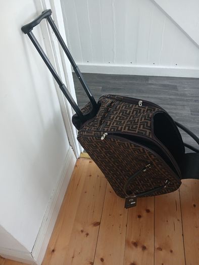 Brown carrier bag on wheels