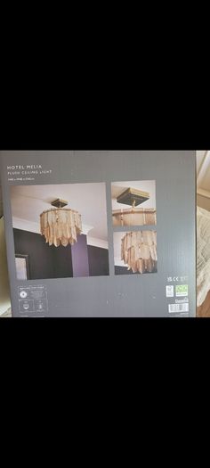 Celing light