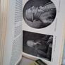 Mistress to an Age: A Life of Madame de Stael by J. Christopher Herold (GT140) Image 5