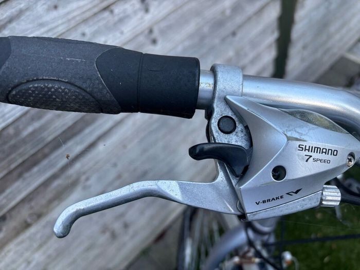 Adult bike