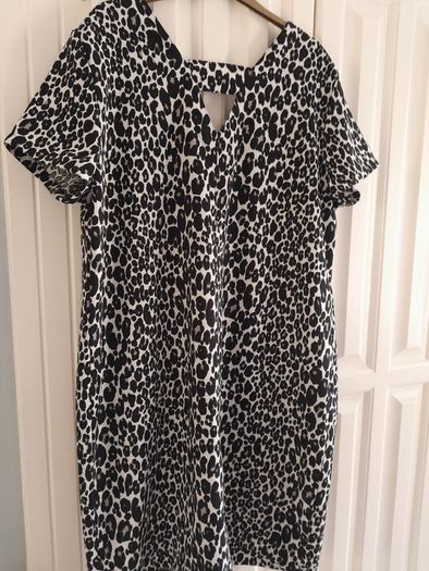 Next Animal Print Dress