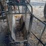 Sheep Weighing Scales Image 7