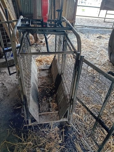 Sheep Weighing Scales
