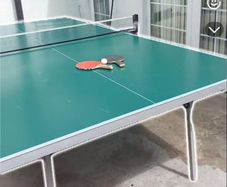 table tennis/ping pong table