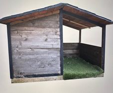 Large Dog kennel