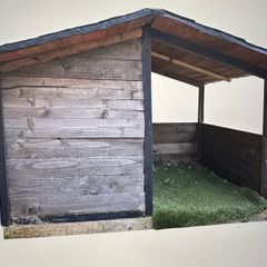 Large Dog kennel