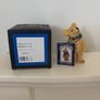 Teddy Collection - Peter Fagan's - Wellington and Shoestring Image 5
