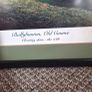 RARE Set of 3 Golf Prints Signed by John McNulty Christy OConnor Jr Image 5