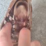 Baby Phat leather  heels Image 5