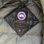 Canada goose hybridge Image 4