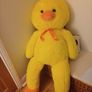 teddy Image 2