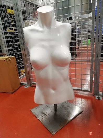 Half body mannequin