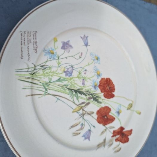 "The Country Diary an Edwardian Lady"