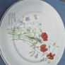 "The Country Diary an Edwardian Lady" Image 3