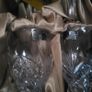 Killarney crystal . New . Labels on glasses are faded Image 4