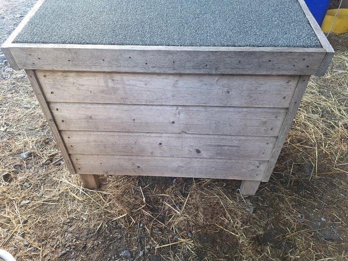 Dog Kennel