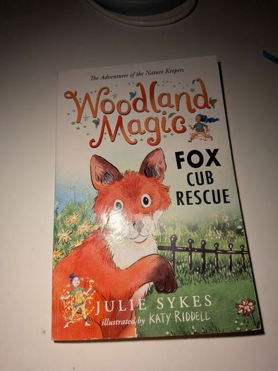 Kids fiction books 6+