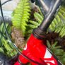 kids ridgeback bike mx16 Image 4