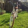 Goetze Mood 26" bike Image 3