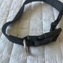 Dog collar Image 2