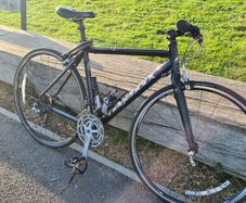 Adult Ridgeback 6061 t6