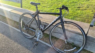 Adult Ridgeback 6061 t6