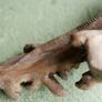 Unusual hand carved wooden lizard on exotic tree branch Image 10