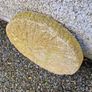 Mill stones Image 8