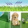 Artificial Grass Turf Astro Turf 3.3x33ft Grass Carpet Roll Indoor & Outdoor Faux Grass Carpet Rug Fire Resistant Realistic Synthetic Grass Turf Lawn Mat for Pet Patio Garden Balcony Wedding (FREE POSTAGE) Image 5