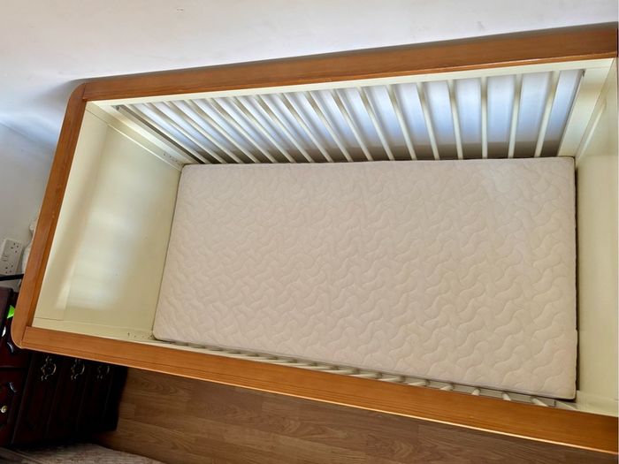 Cot and Mattress