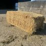Pre Chopped Straw Bales Image 3