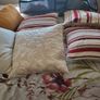 Curtains and Cushions Image 2