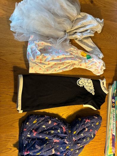 12-18 Months girls clothes (bundle)