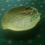 Carlton ware Teapot + Small Yellow Leaf Dish Image 3