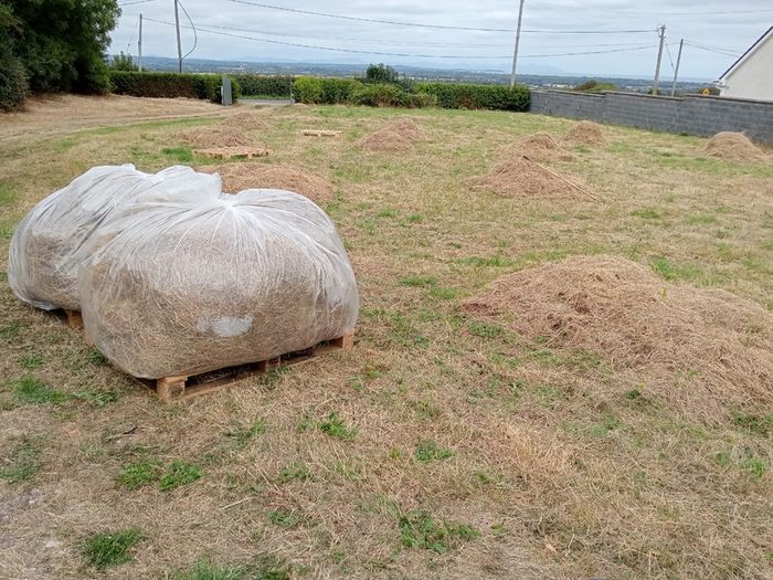 Animal Bedding/Straw