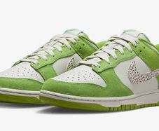 Nike Dunk Low Clorophyl UK 11 / US 12 Brand New  Deadstock