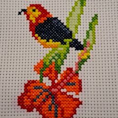 Embroidery