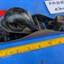 Stanley 110 Block Plane Image 4
